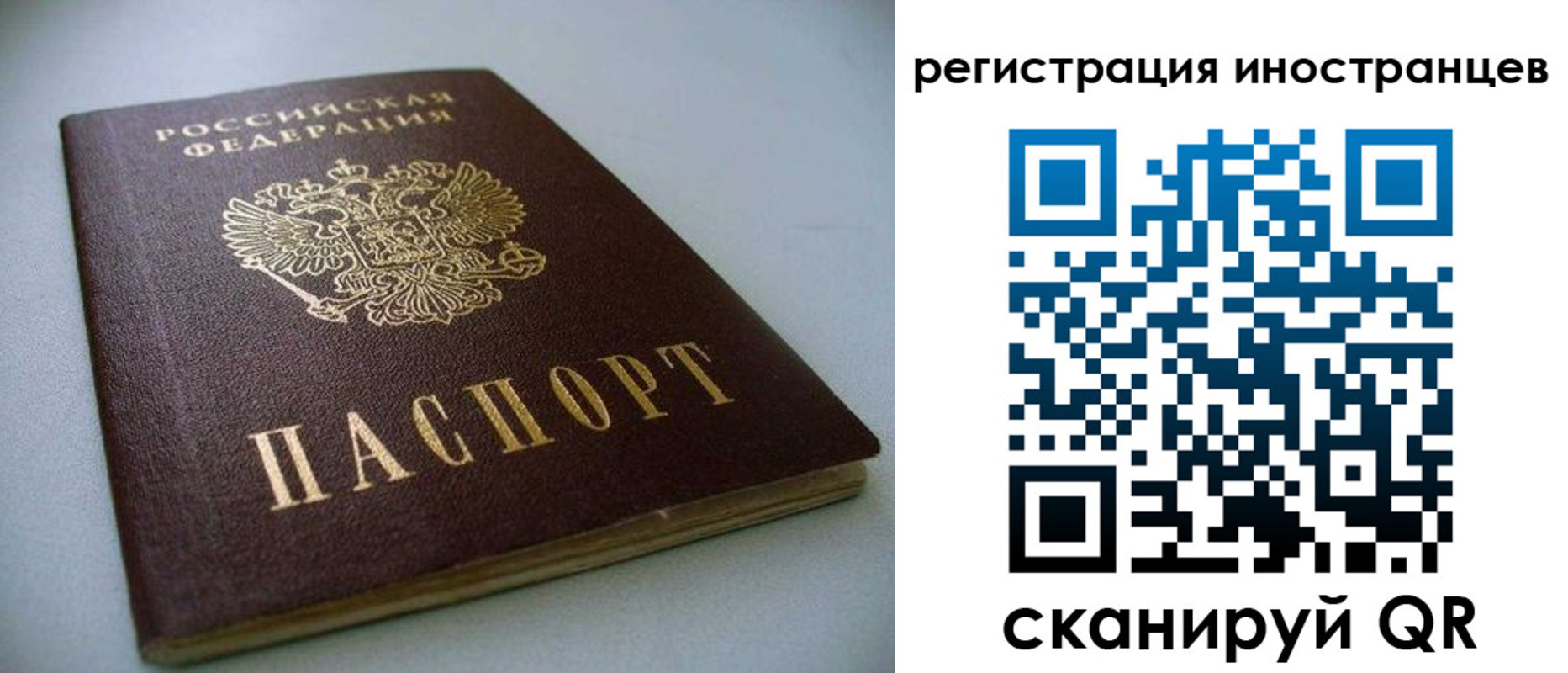 пропишу в квартире в Видном